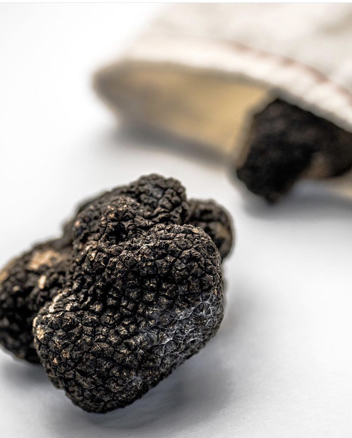 Black truffle